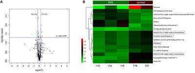 Transferrin Insufficiency and Iron Overload in Follicular Fluid Contribute to Oocyte Dysmaturity in Infertile Women With Advanced Endometriosis